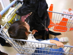 食べられる～＾＾