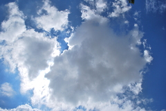 晴天の雲