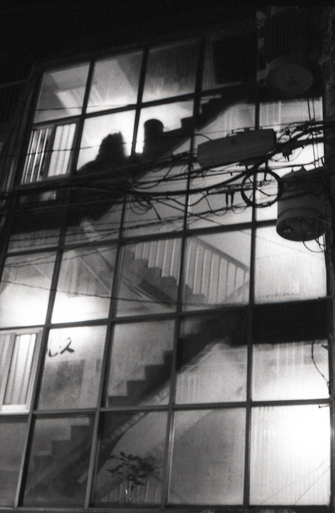 Melancholy Dreams