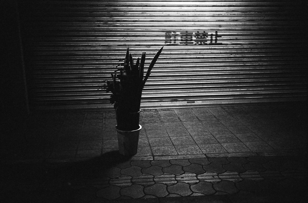 Melancholy Dreams