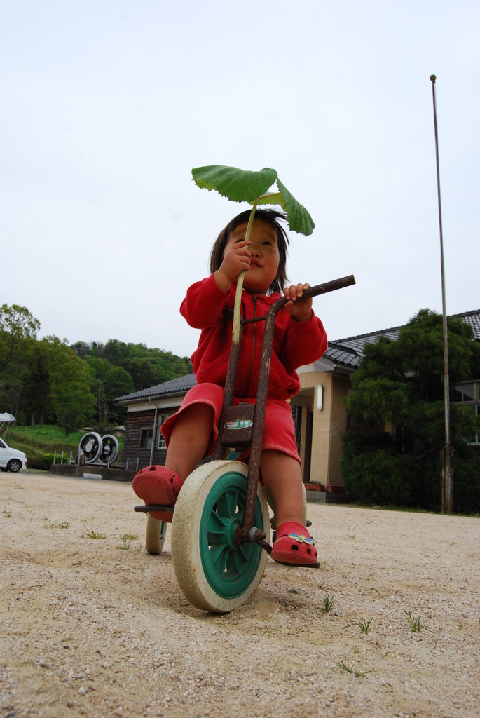 うわっ！降ってきた？？？