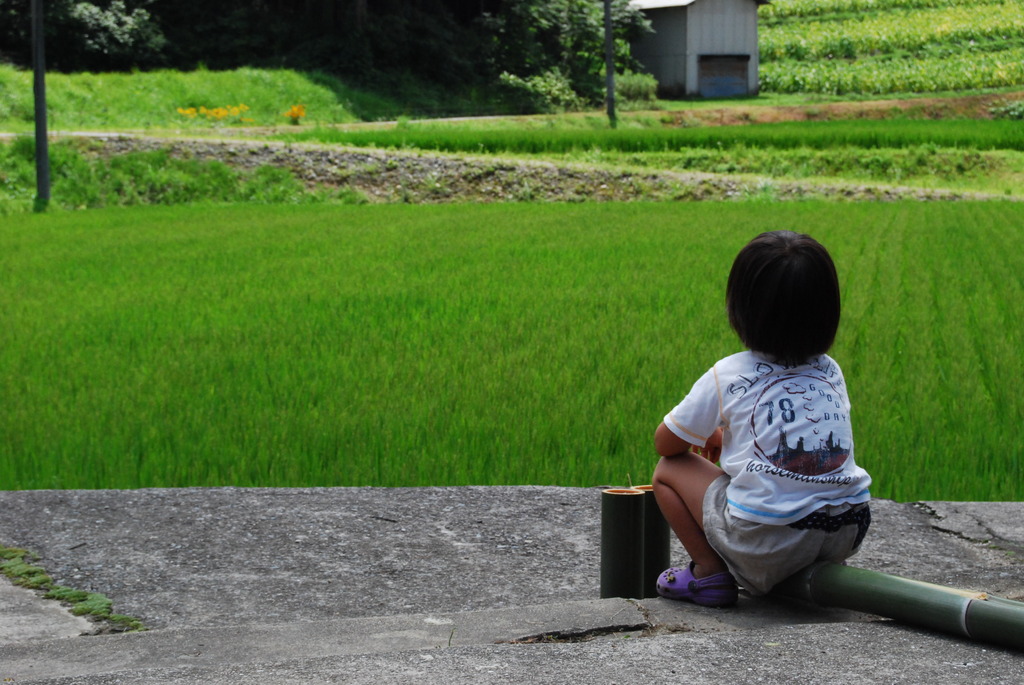 黄昏の夏・・・