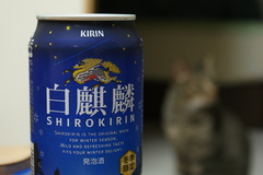 もう、冬