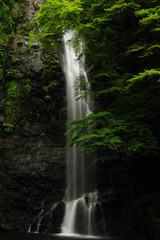 箕面の滝