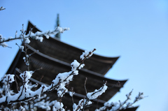 雪の瑠璃光寺