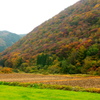 里山の秋