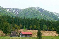 初夏の高原