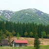 初夏の高原