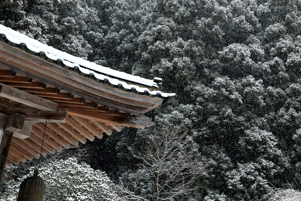 雪の華
