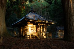 ひと時の金色堂