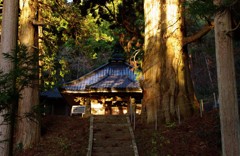 木漏れ日揺れて・ひかり堂