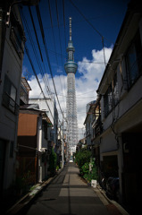 TOKYO SKY TREE