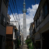 TOKYO SKY TREE