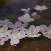 DSC00041