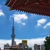 TOKYO SKY TREE