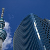 TOKYO SKY TREE