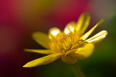 019