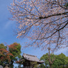 DSC00069
