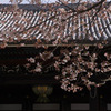 DSC00034