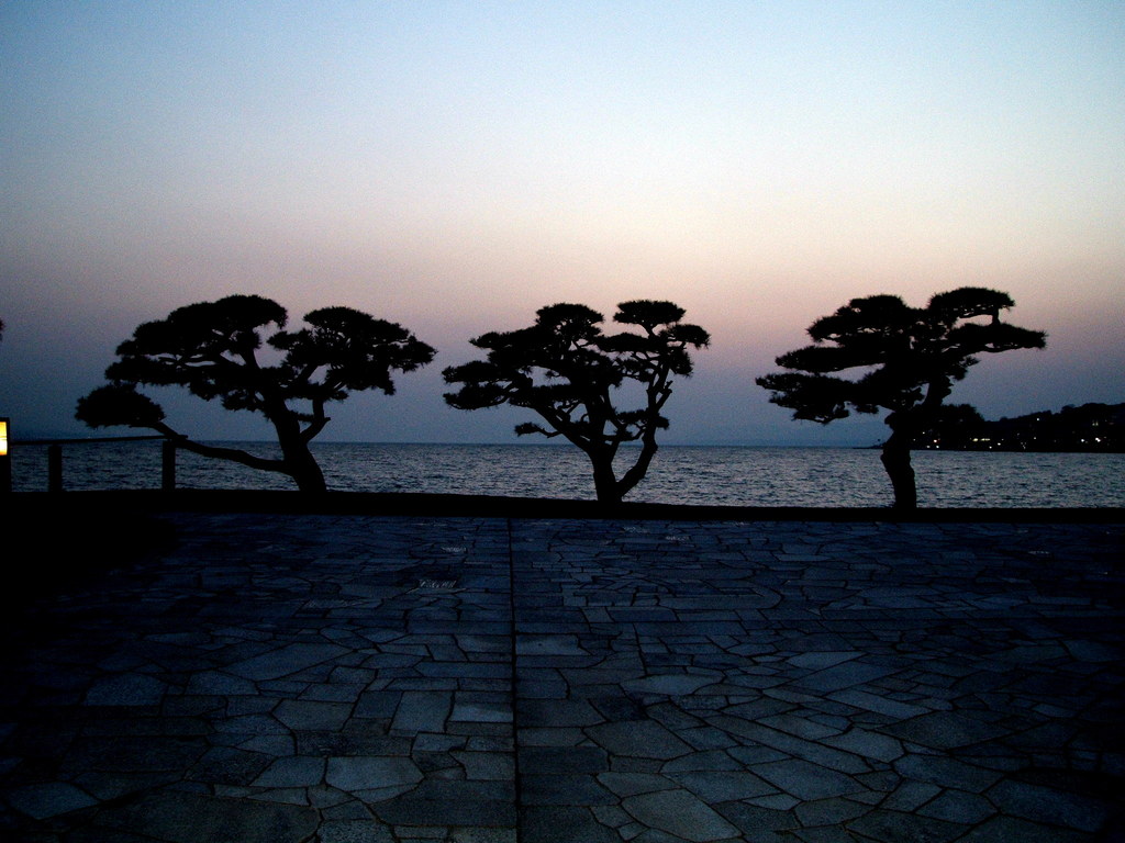 三本松
