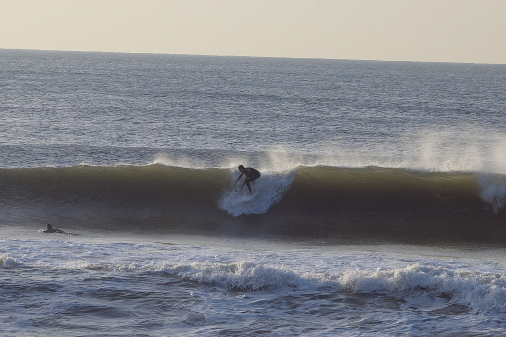 toshi1