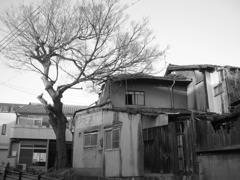 廃屋