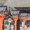 舞う雪 2