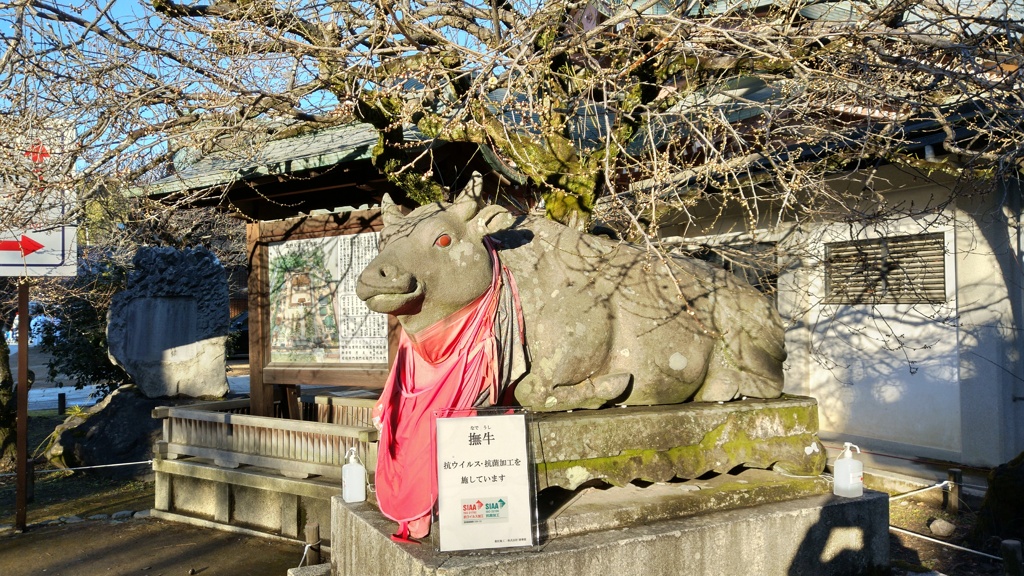 うし