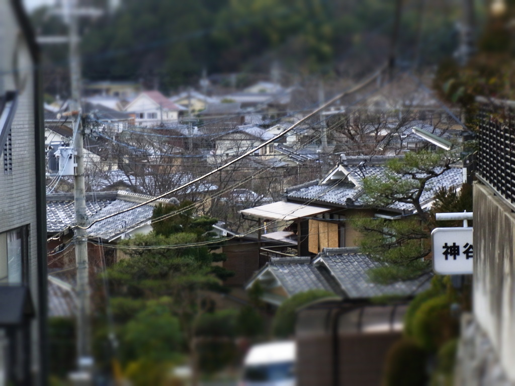 屋根瓦のある風景