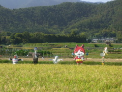 かかし