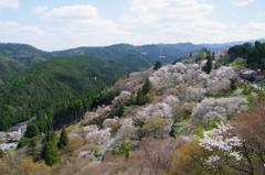 吉野山