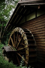 20080818郷土の森068