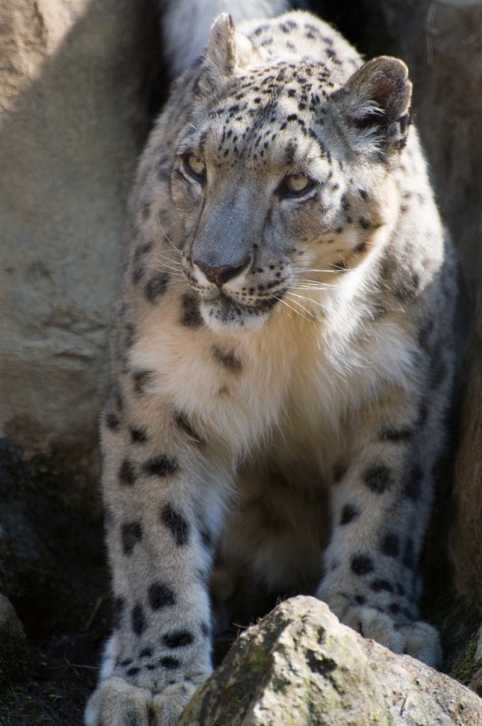 200904多摩動物公園_010