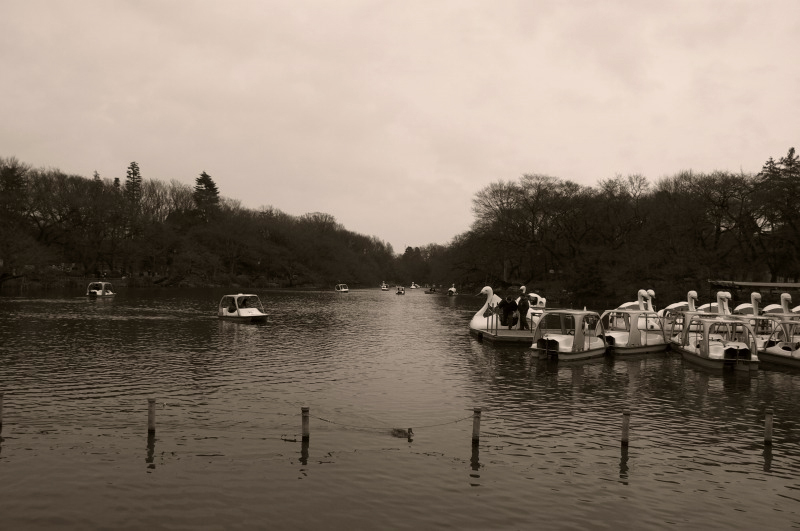 20090118_019