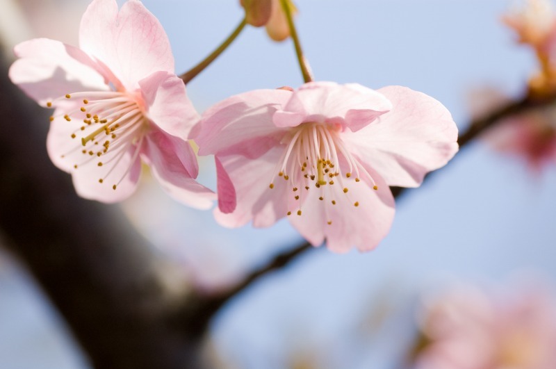 20090307D40_091