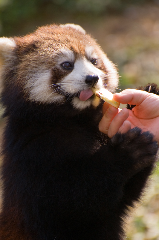 200904多摩動物公園_004