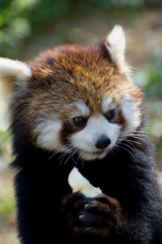 200904多摩動物公園_003
