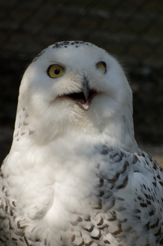 200904多摩動物公園_014