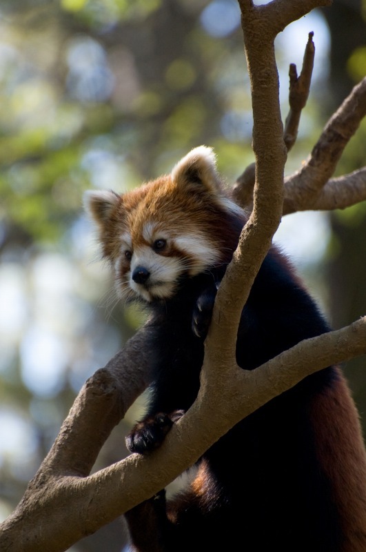 200904多摩動物公園_001