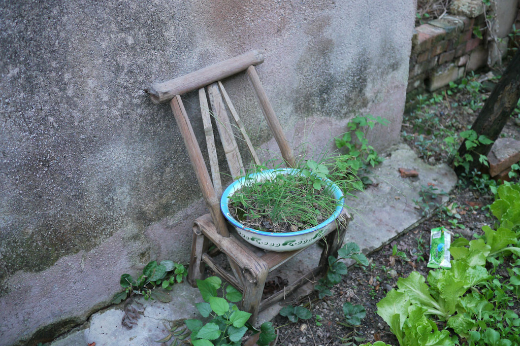 P1020738