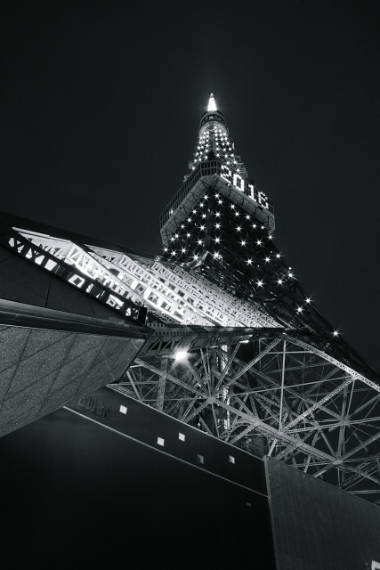 東京タワー　2009.4.20 #1