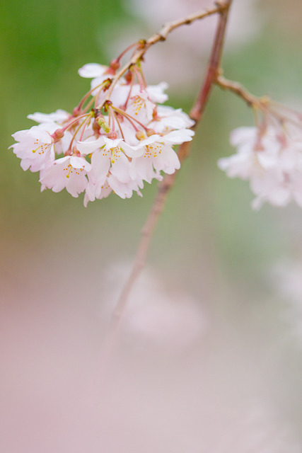 20110402-IMG_0026