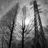 Loght and Shadow