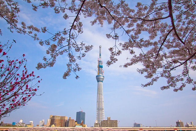 20110410-IMG_0215