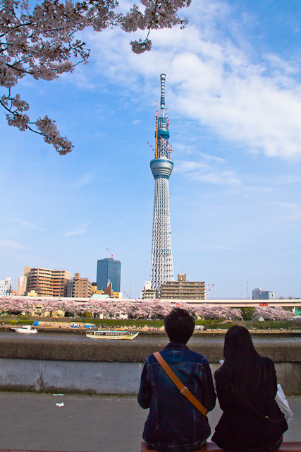 20110410-IMG_0210