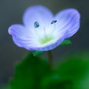 20110320-IMG_0094