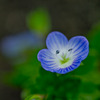 20110320-IMG_0095