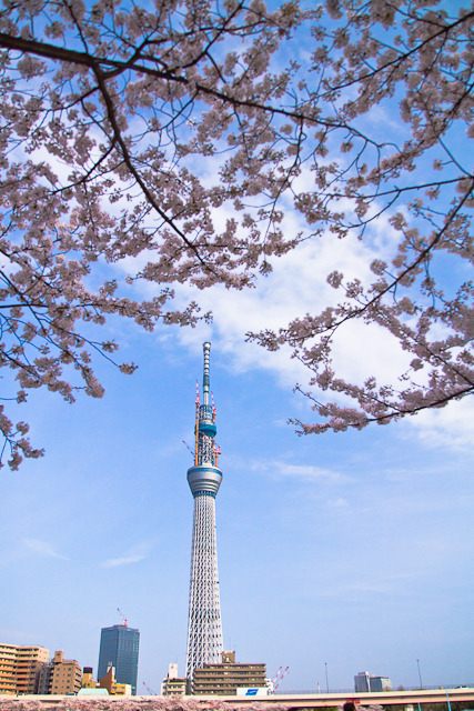 20110410-IMG_0204
