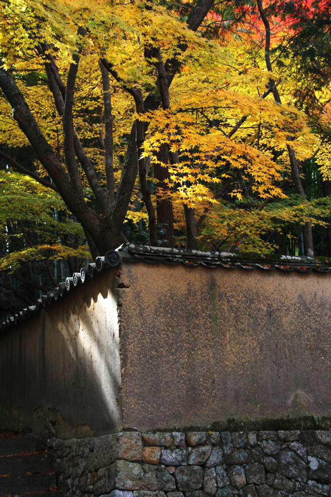 紅葉土塀