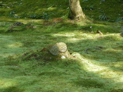 DSCN0204